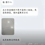 娱乐吃瓜酱大学生表白墙,校园爱情故事大盘点