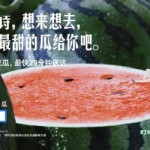 娱乐圈文案吃瓜,揭秘明星们的“吃瓜”大作战
